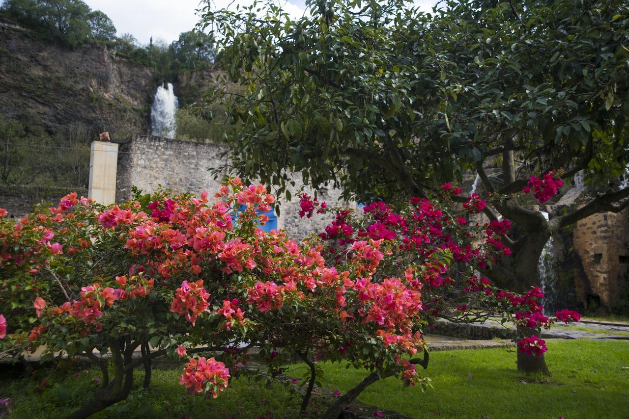 Hacienda Santa Maria Regla 호텔 우아스카 데 오캄포 외부 사진