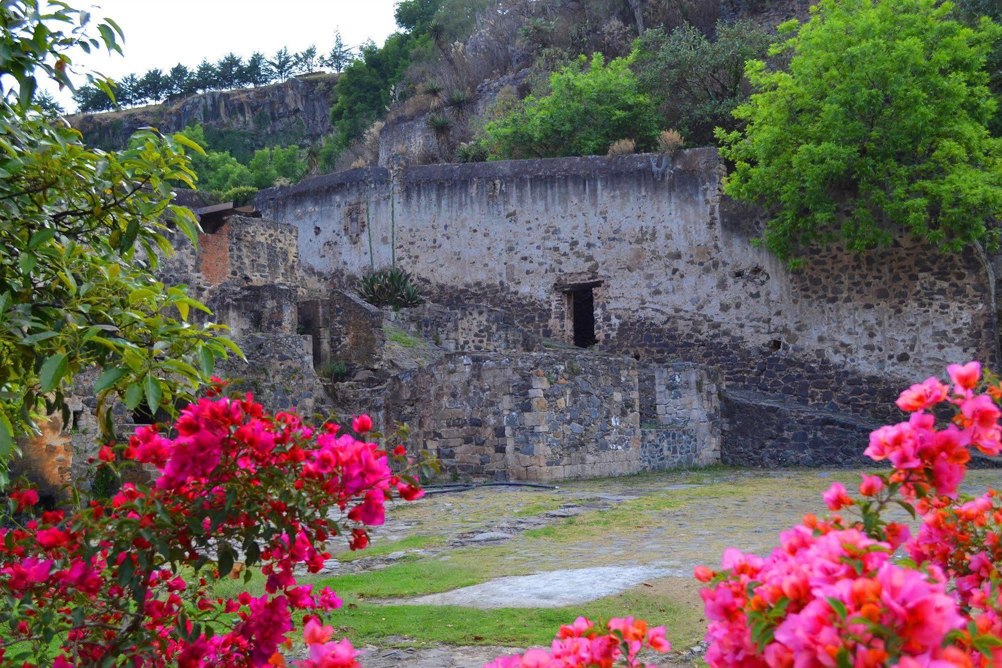 Hacienda Santa Maria Regla 호텔 우아스카 데 오캄포 외부 사진
